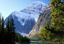 开云体育app-德国队险胜拜仁1:4，孙兴慜梅开二度德甲