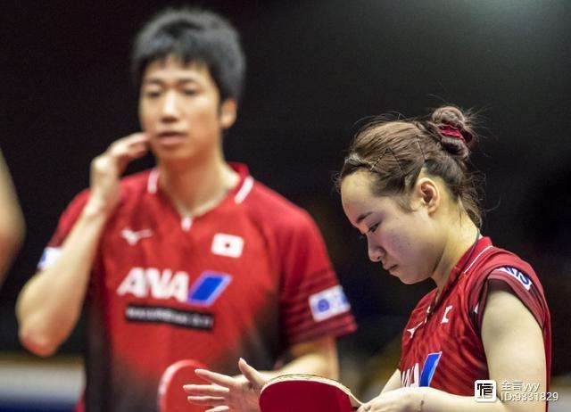 开云体育-法国乒乓球队轻取奥地利乒乓球队，水谷隼关键制胜的简单介绍