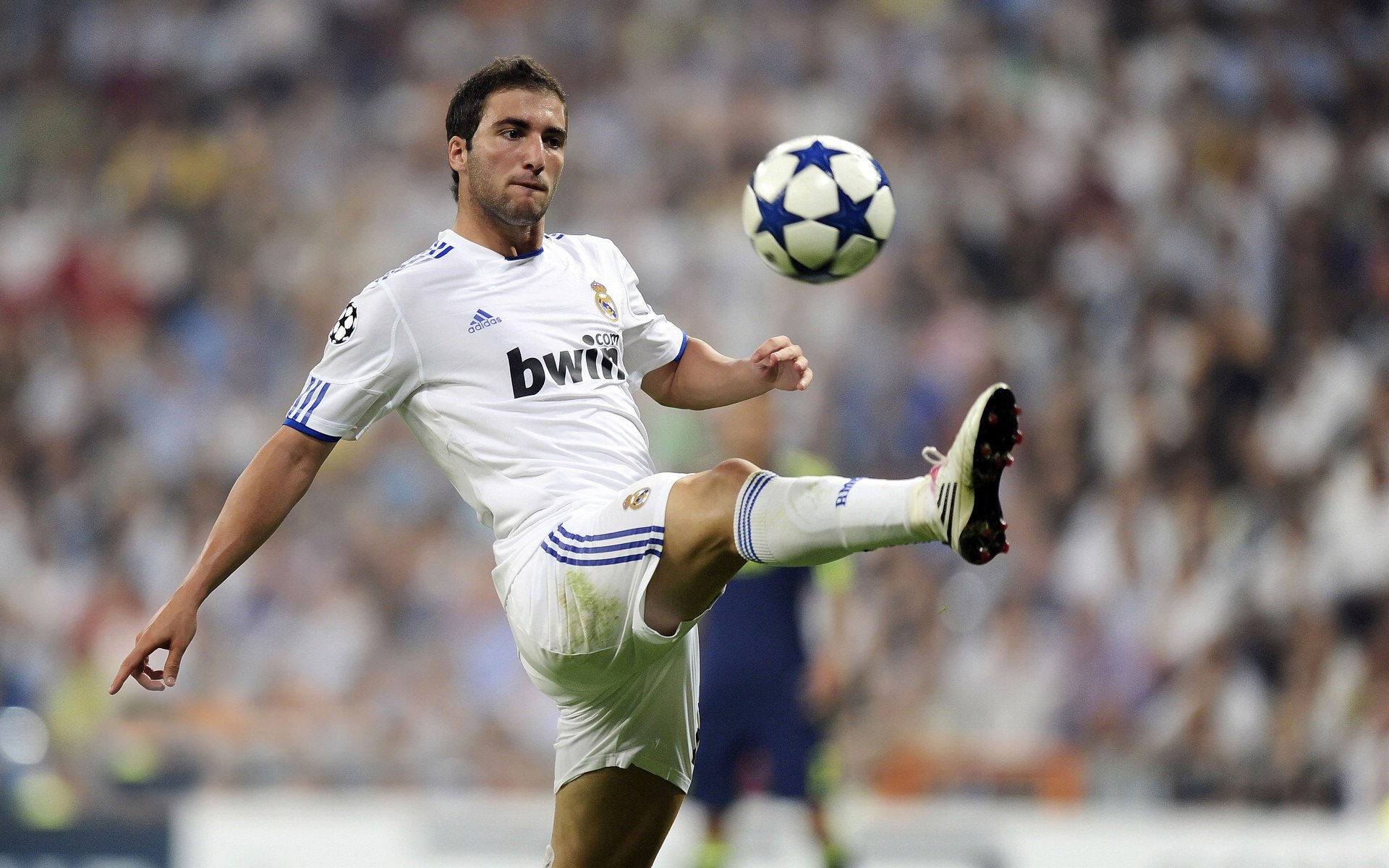 破晓之战，浙江队完胜灰熊，武切维奇刷新纪录之夜