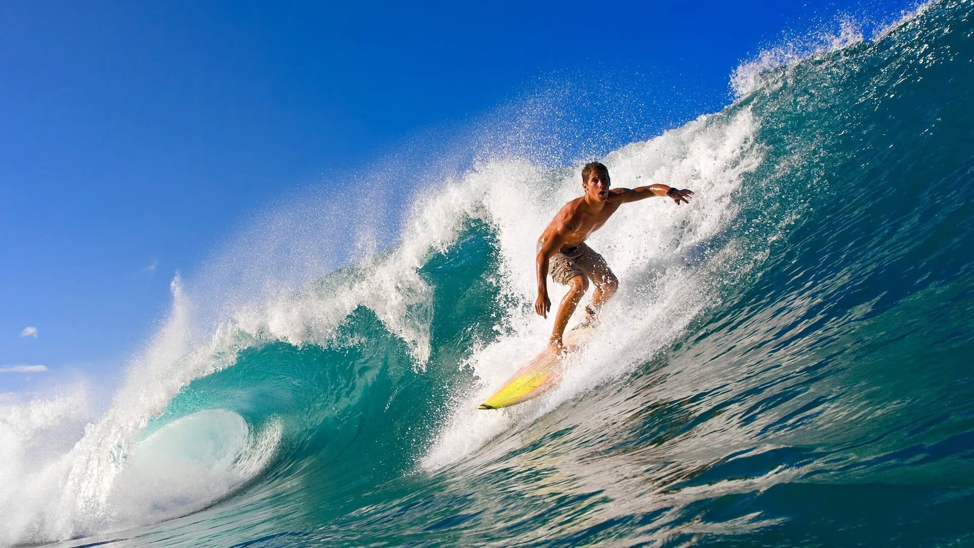 开云体育中国-从温网绝杀到拉沃尔杯封神，兹维列夫如何用一场胜利定义时代